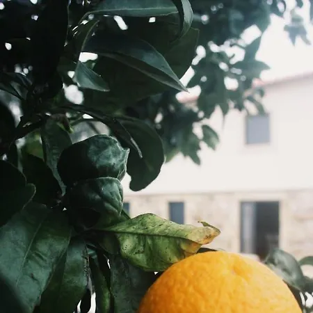 Refugio Da Gandra Дом отдыха Вила-Нова-ди-Сервейра