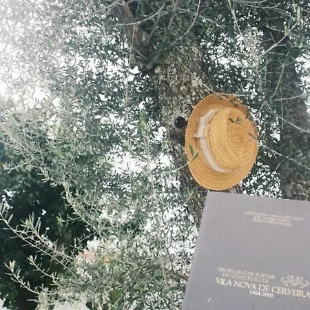 Refugio Da Gandra Tatil Evi *
