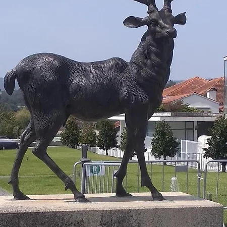 Refugio Da Gandra Дом отдыха Вила-Нова-ди-Сервейра