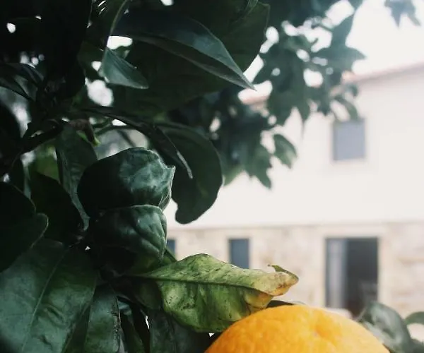 Refugio Da Gandra 別荘 ヴィラ・ノーヴァ・デ・セルヴェイラ